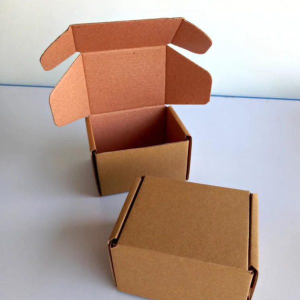 Small Kraft Snack Box