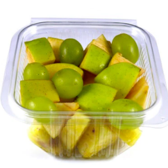500cc Square Premium Salad Container
